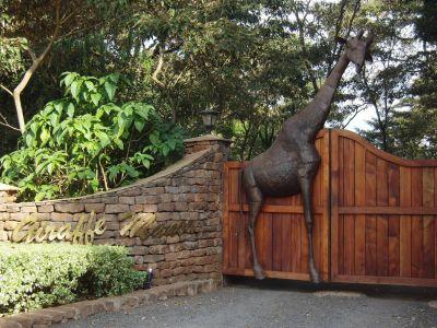 Bild zeigt das Beitragsbild 4 zum Beitrag mit dem Thema: Nairobi – Afrikas faszinierende Metropole zwischen Wildnis und Großstadt